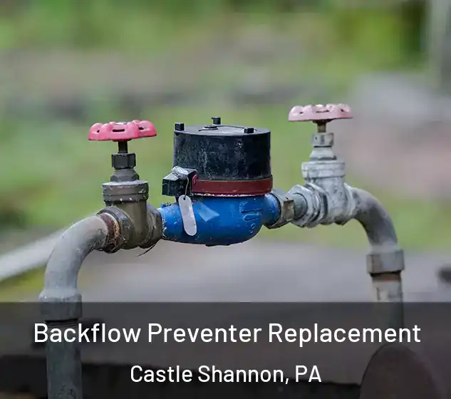  Backflow Preventer Replacement Castle Shannon, PA