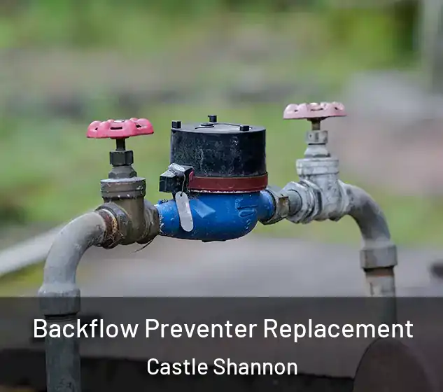  Backflow Preventer Replacement Castle Shannon