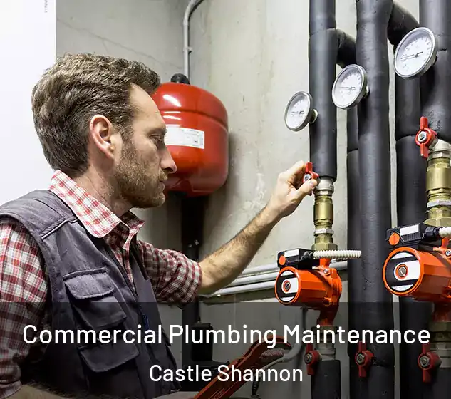  Commercial Plumbing Maintenance Castle Shannon