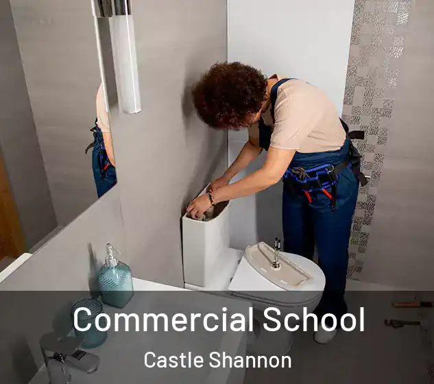  Commercial School Castle Shannon