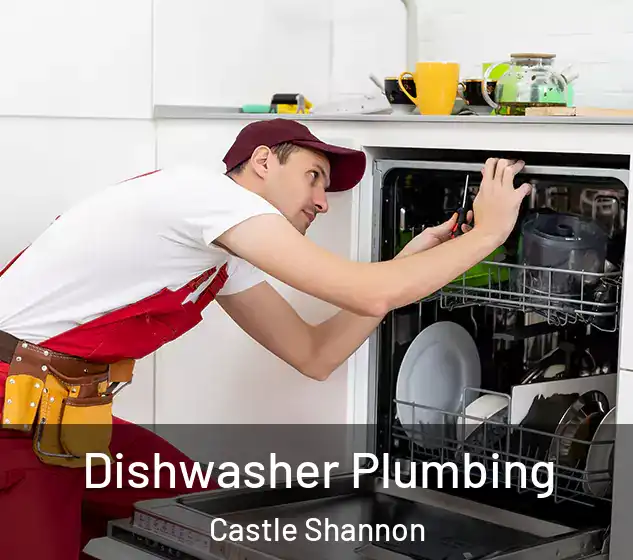  Dishwasher Plumbing Castle Shannon