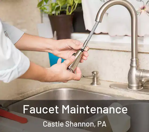  Faucet Maintenance Castle Shannon, PA