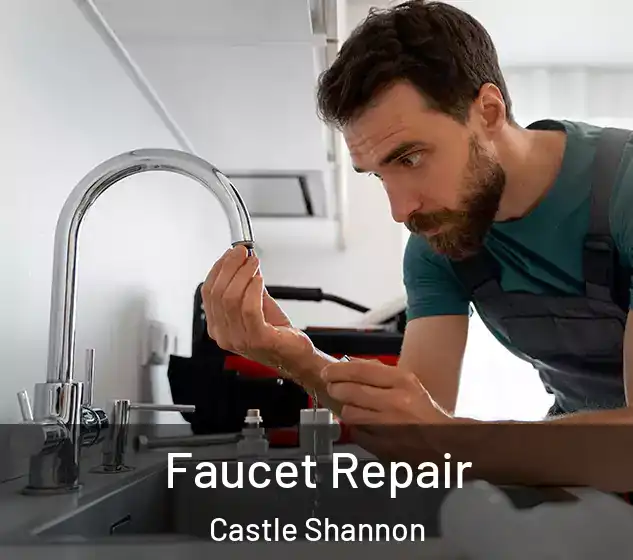 Faucet Repair Castle Shannon