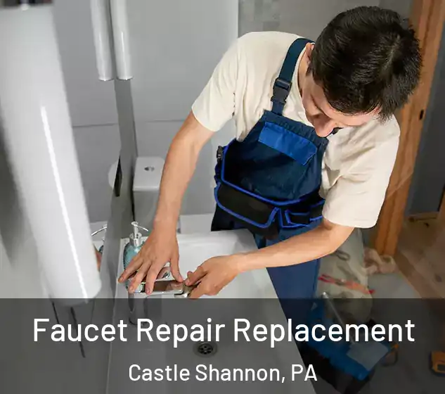  Faucet Repair Replacement Castle Shannon, PA