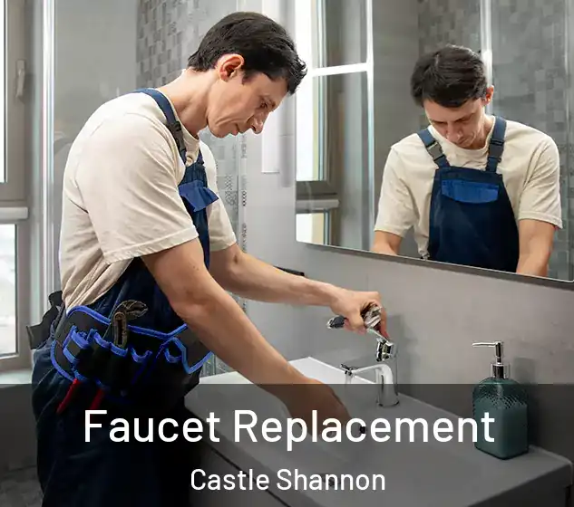  Faucet Replacement Castle Shannon
