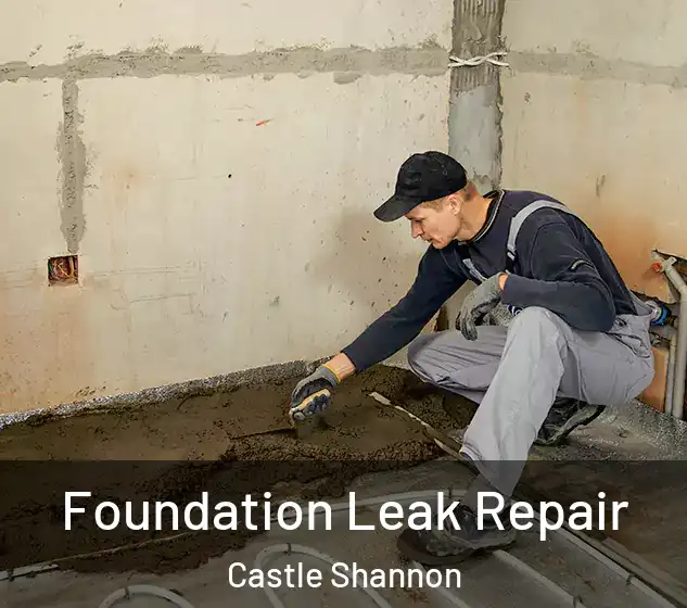  Foundation Leak Repair Castle Shannon