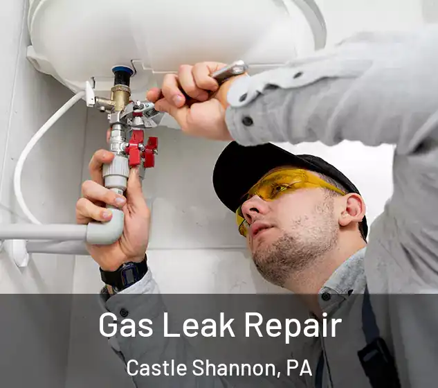  Gas Leak Repair Castle Shannon, PA
