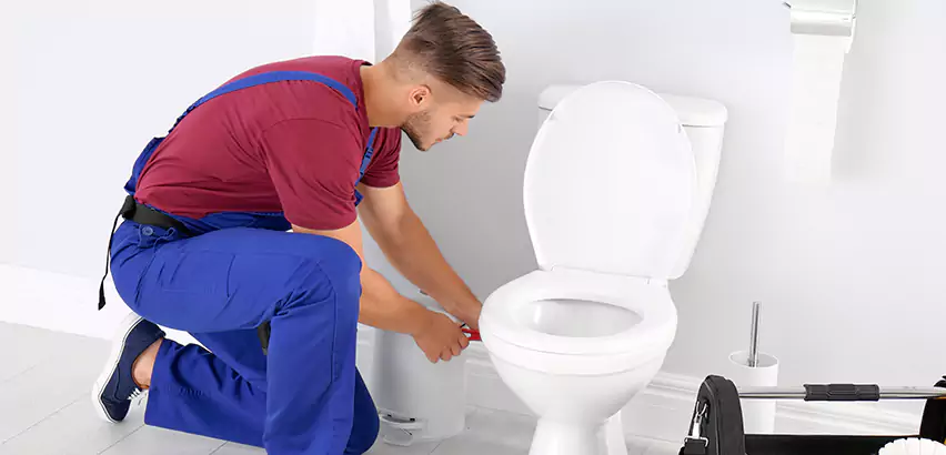 Scope of Bathroom Toilet Bowl Replacement Services in Castle Shannon, PA