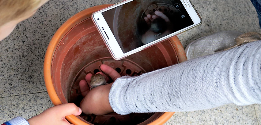 Scope of Drain Camera Inspection Services in Castle Shannon, PA