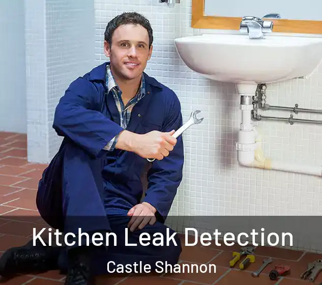  Kitchen Leak Detection Castle Shannon