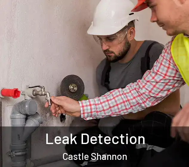  Leak Detection Castle Shannon