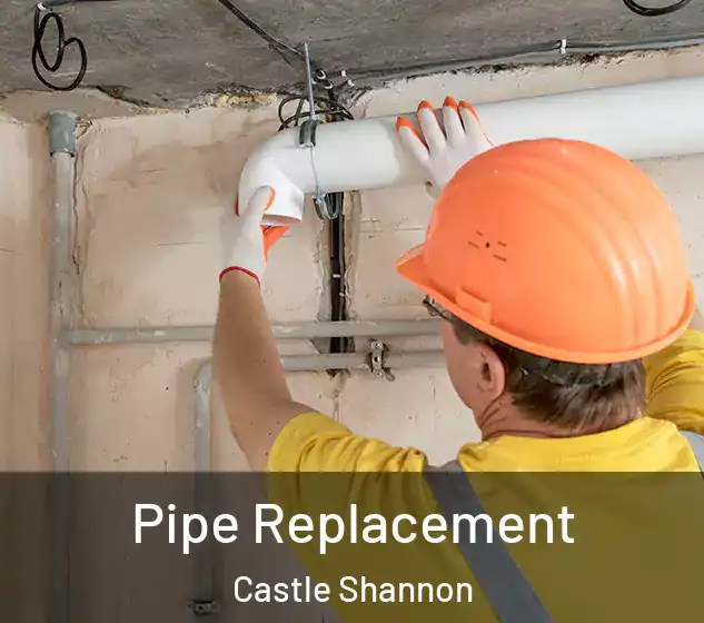  Pipe Replacement Castle Shannon