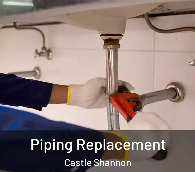  Piping Replacement Castle Shannon