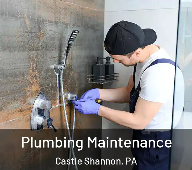  Plumbing Maintenance Castle Shannon, PA