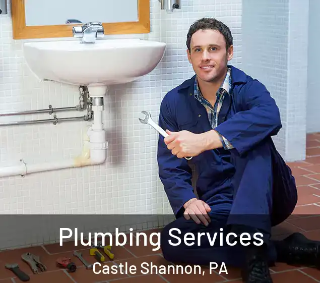  Plumbing Services Castle Shannon, PA