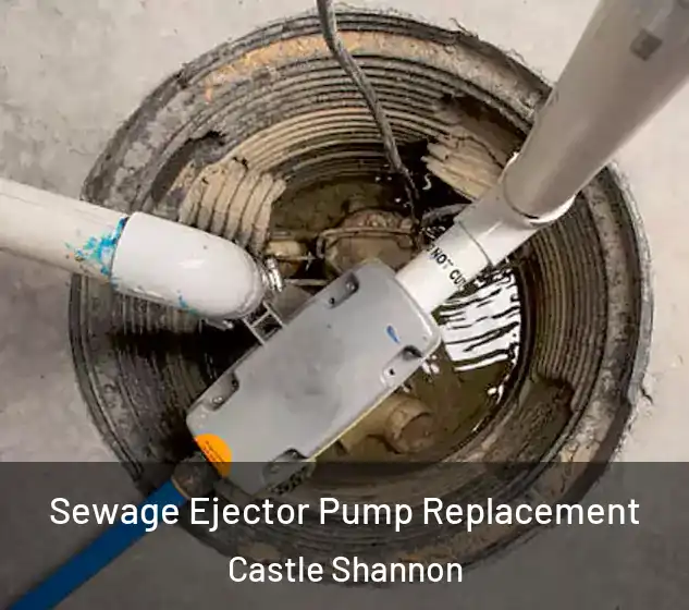  Sewage Ejector Pump Replacement Castle Shannon