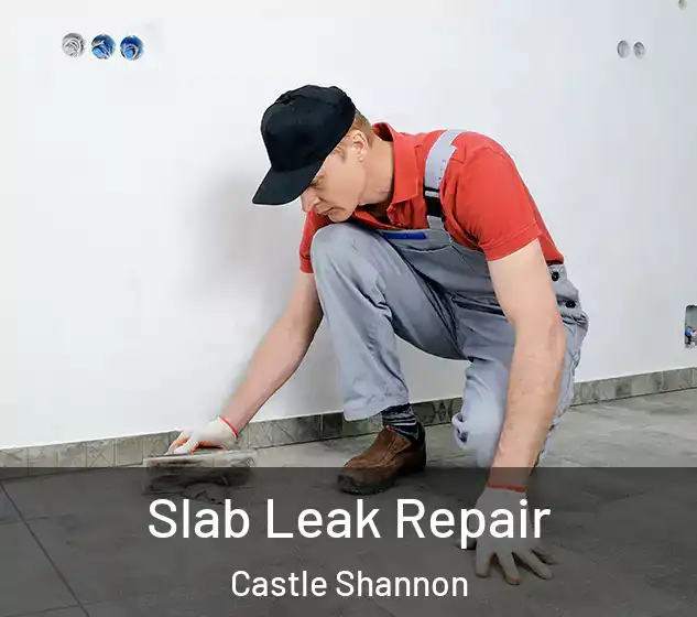  Slab Leak Repair Castle Shannon