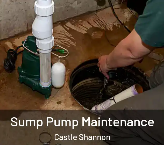  Sump Pump Maintenance Castle Shannon