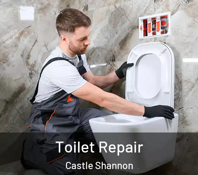  Toilet Repair Castle Shannon