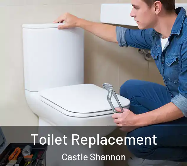  Toilet Replacement Castle Shannon