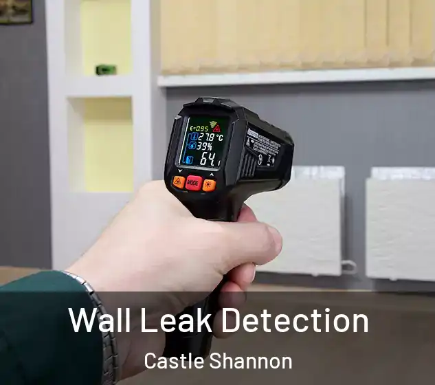 Wall Leak Detection Castle Shannon