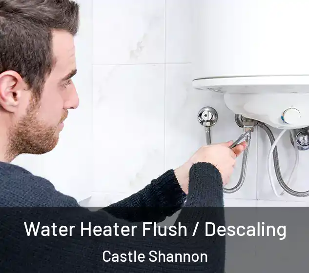  Water Heater Flush / Descaling Castle Shannon