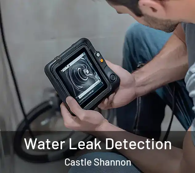  Water Leak Detection Castle Shannon