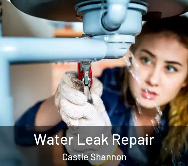  Water Leak Repair Castle Shannon