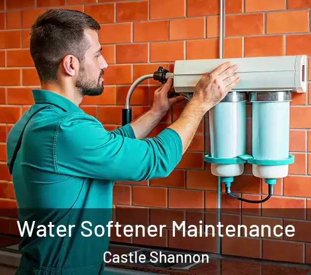  Water Softener Maintenance Castle Shannon