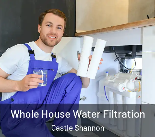  Whole House Water Filtration Castle Shannon